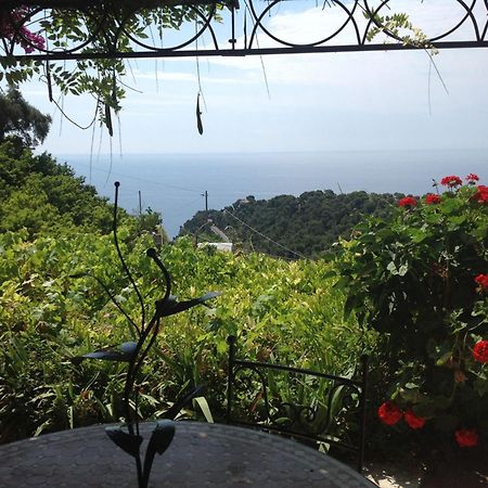 Villa D'Arte Mortola Superiore Bilik gambar