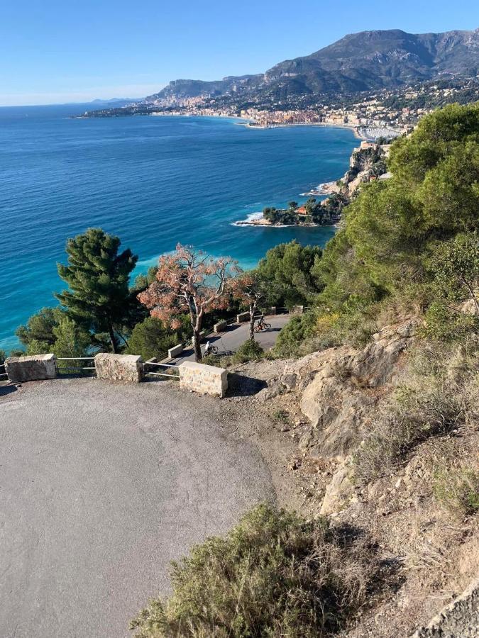 Villa D'Arte Mortola Superiore Luaran gambar